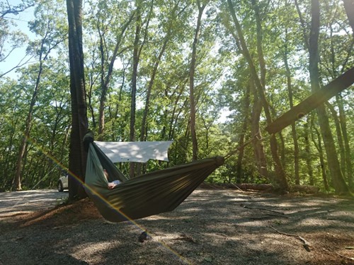 PICA相模のキャンプ施設内の木々の間に設置したハンモック